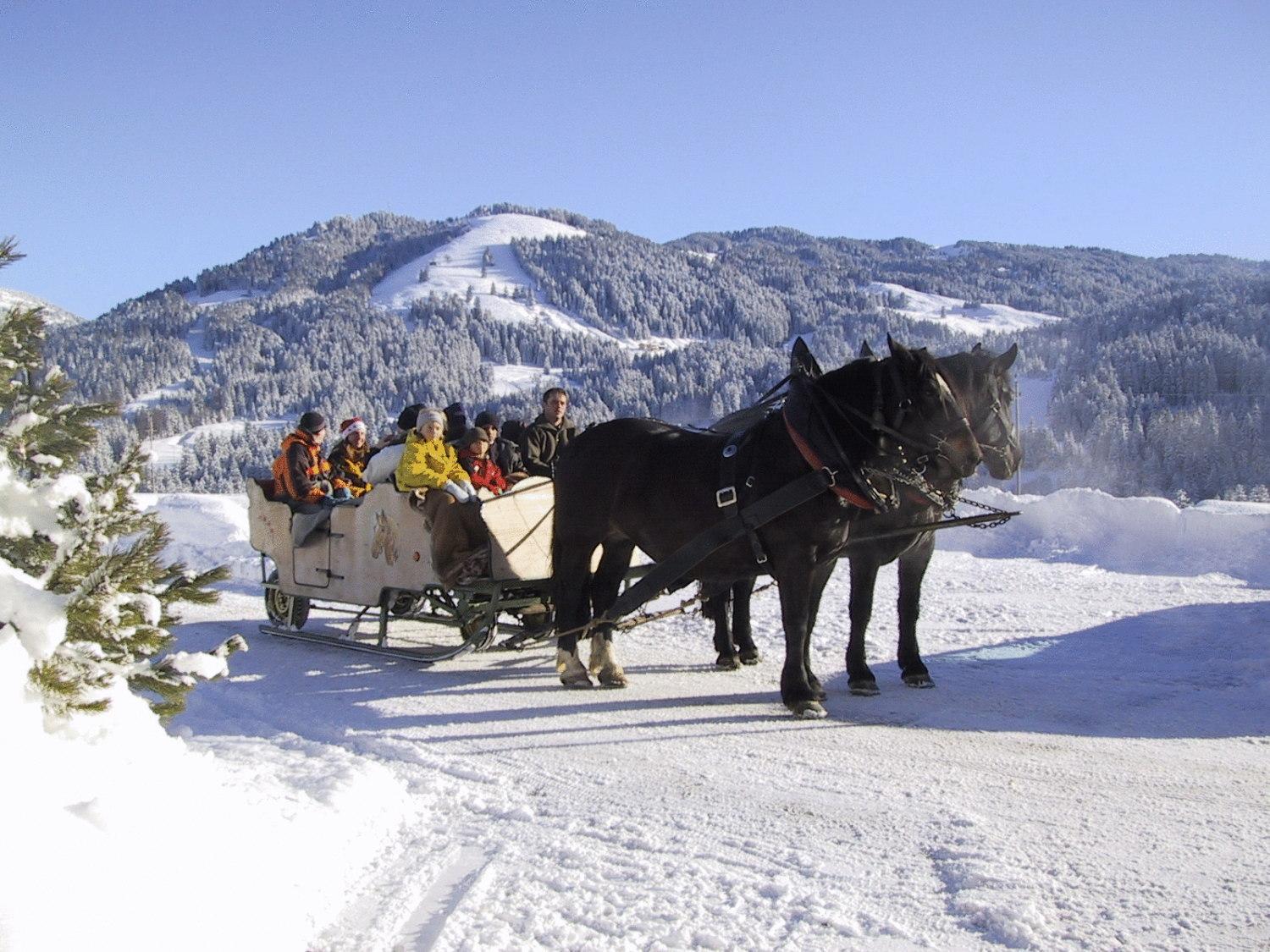 Ferienwohnungen Pension Sonnblick Krumbach  Dış mekan fotoğraf